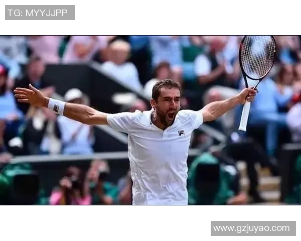 2017年温网决赛费德勒逆转西里奇展现传奇风采与不屈精神