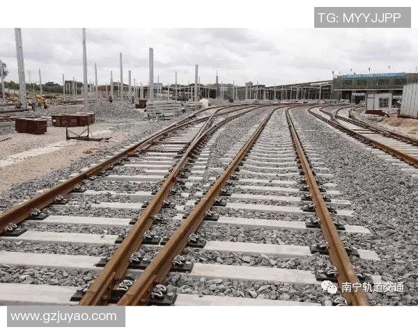 11月5日与2月27日的对比分析与历史意义探讨